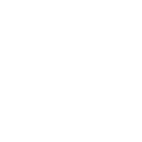 Accelerated Revenue Growth