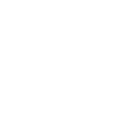 Real-Time Insights & Reporting